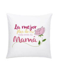 Almohadon-3