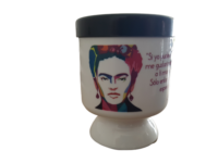 mate frida