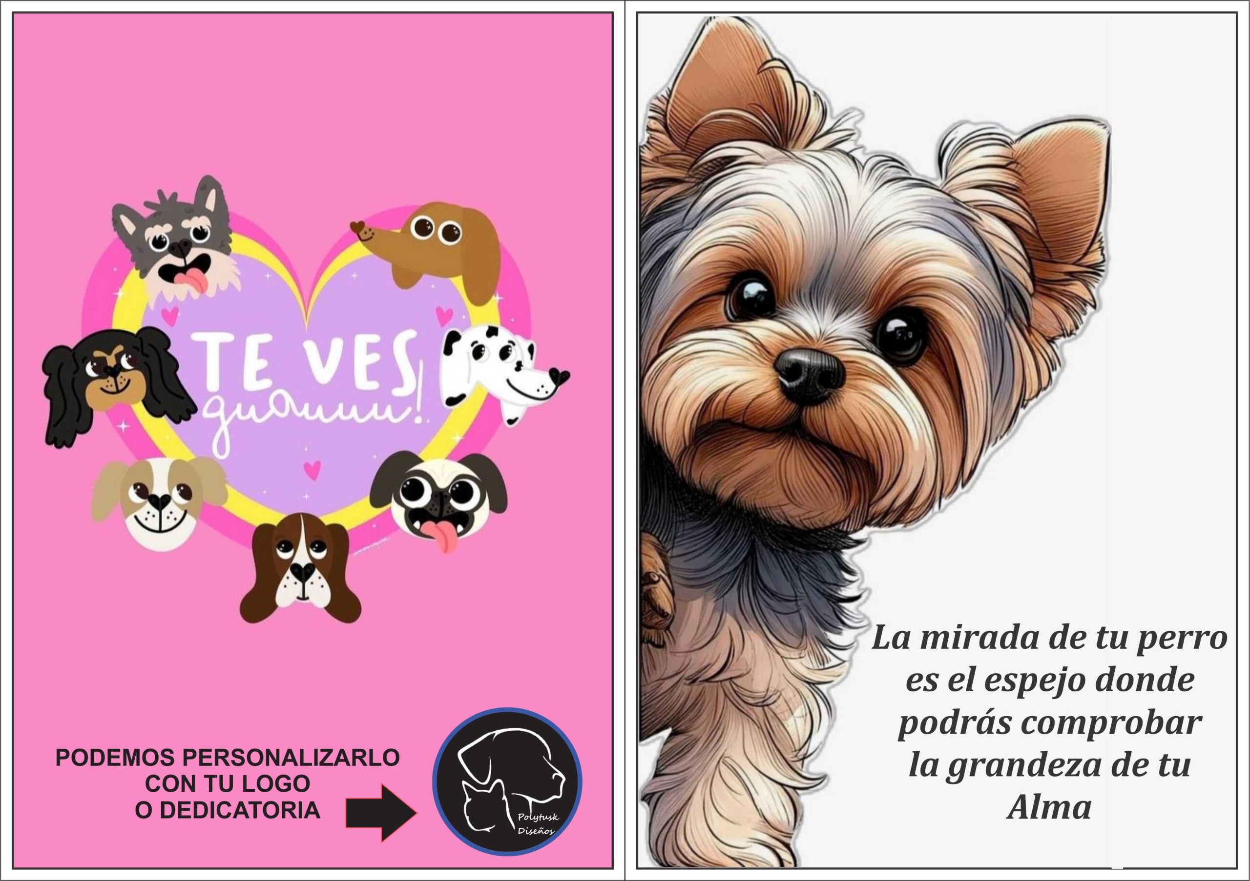 CARTEL 3