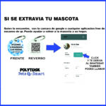 chapitas plasticas QR