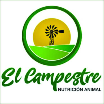 chapitasqr