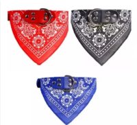 collar ba