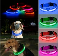 collar led 2