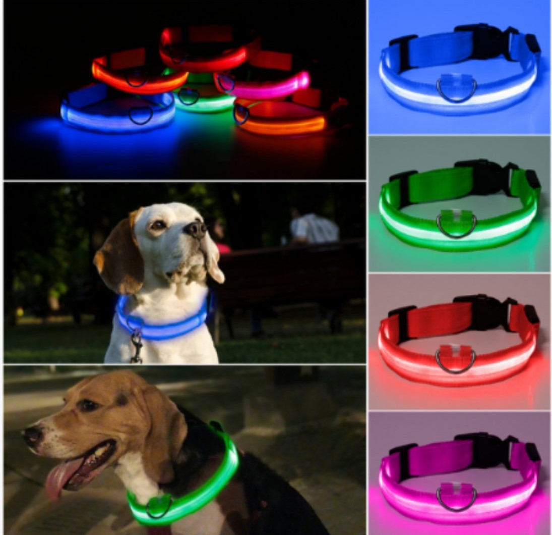 collar led 2